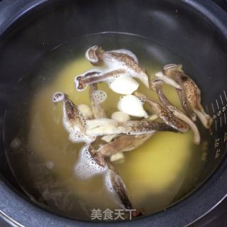 鹿茸菇干贝粥的做法步骤：6
