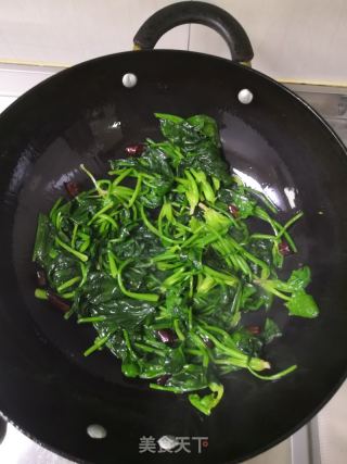 炝炒菠菜的做法步骤：5