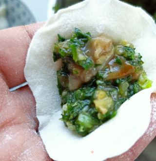 荠菜海肠水饺的做法步骤：21