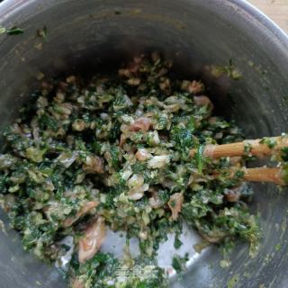 荠菜海肠水饺的做法步骤：17