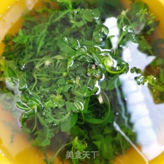 荠菜海肠水饺的做法步骤：5