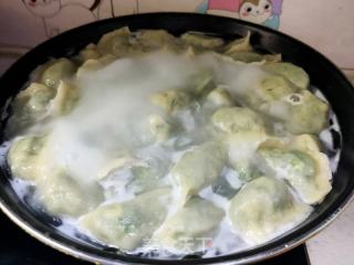 韭菜虾仁饺子的做法步骤：13