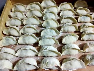 韭菜虾仁饺子的做法步骤：11
