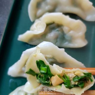韭菜海肠水饺的做法步骤：22