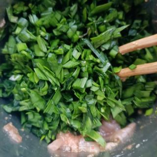 韭菜海肠水饺的做法步骤：13