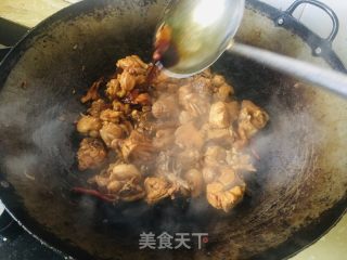 鸡肉烧土豆的做法步骤：9