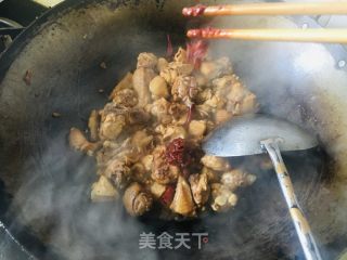 鸡肉烧土豆的做法步骤：8