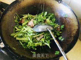 香芹炒腊肉的做法步骤：5