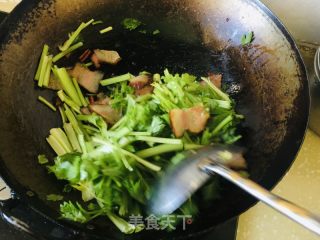 香芹炒腊肉的做法步骤：3