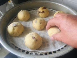 红枣玉米面馒头的做法步骤：11