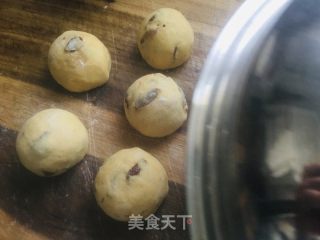 红枣玉米面馒头的做法步骤：10