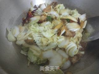 白菜炖粉条的做法步骤：6