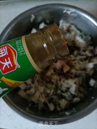 白萝卜素馅煎饺的做法步骤：16