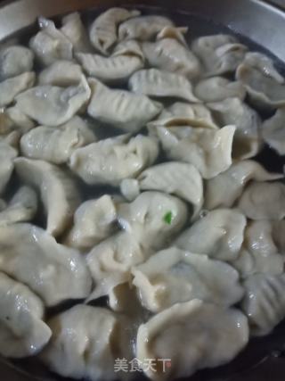 荠菜馅饺子的做法步骤：11