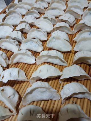 荠菜馅饺子的做法步骤：10