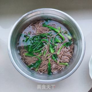 鸡胸肉拌荞麦面的做法步骤：8