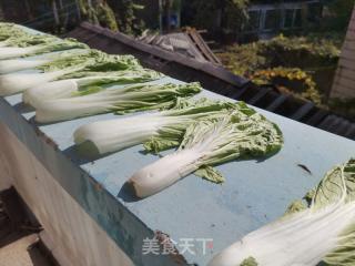 鸡白菜炒肉末（白菜两吃）的做法步骤：1