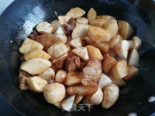 萝卜毛芋炖肉的做法步骤：7
