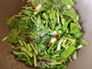 蒜蓉辣椒炒油菜苗的做法步骤：7