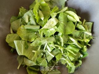 蒜蓉辣椒炒油菜苗的做法步骤：5