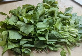 蒜蓉辣椒炒油菜苗的做法步骤：2
