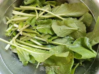 蒜蓉辣椒炒油菜苗的做法步骤：1