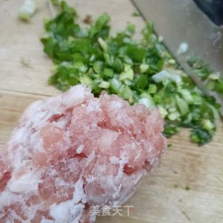 蒸白萝卜肉卷的做法步骤：5
