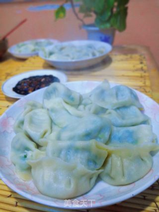 冬瓜馅饺子的做法步骤：16