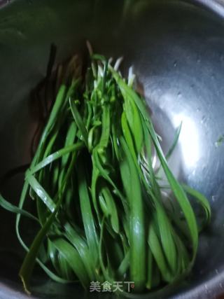 冬瓜馅饺子的做法步骤：5
