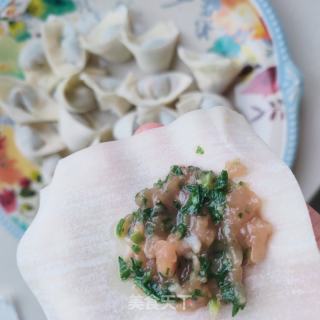 荠菜肉馄饨的做法步骤：7