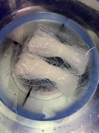 鲜虾粉丝煲的做法步骤：1
