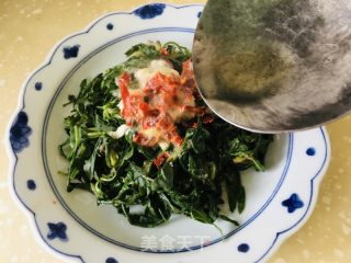 凉拌苦苦菜的做法步骤：10