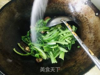 香菇炒小白菜的做法步骤：5