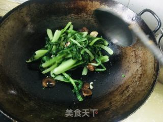 香菇炒小白菜的做法步骤：7