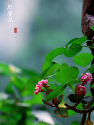 荷包蛋的做法步骤：10