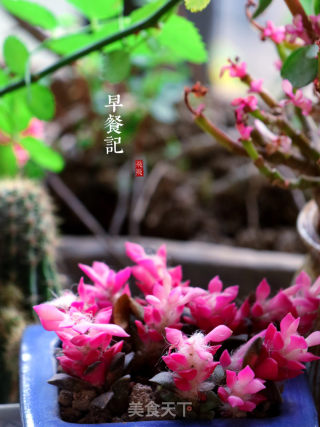 荷包蛋的做法步骤：11