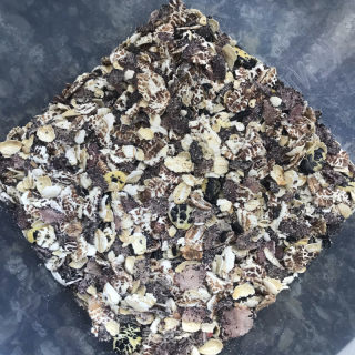 奶香五黑燕麦粥的做法步骤：1