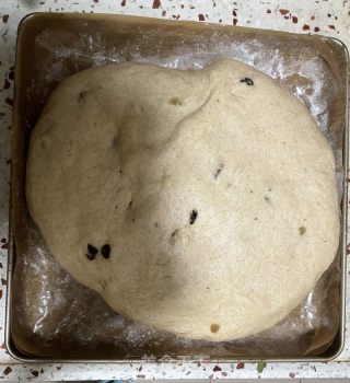 波兰种全麦吐司的做法步骤：11