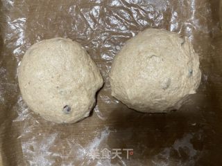 波兰种全麦吐司的做法步骤：12