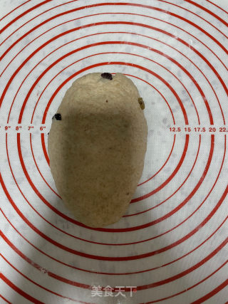 波兰种全麦吐司的做法步骤：13