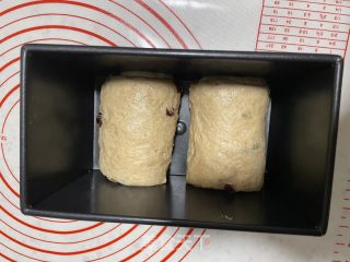 波兰种全麦吐司的做法步骤：19