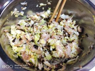 白菜肉末香菇生煎包的做法步骤：6