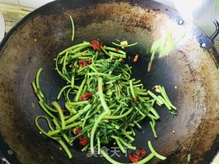 清炒茼蒿的做法步骤：9