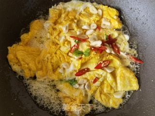 香菜炒鸡蛋的做法步骤：6