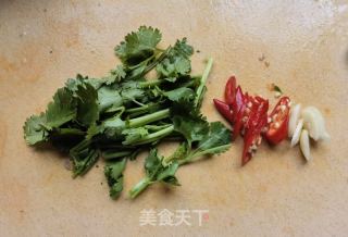 洋葱荷兰黄瓜拌驴肉的做法步骤：4