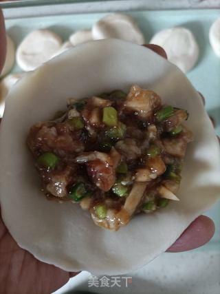蒜苔鲜肉蒸饺的做法步骤：19