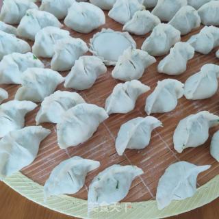 茴香粉条素馅水饺的做法步骤：10