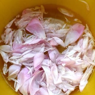 芍药鲜花粥的做法步骤：2