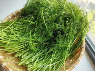 茴香素盒子的做法步骤：2