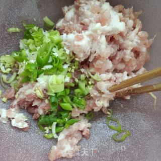 梅干菜鲜肉包的做法步骤：6